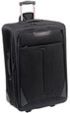 Platinum Wheeled Suitcase