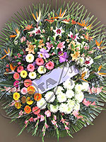 Orquídeas, rosas, lirios, gerberas, strelitzias, gladiolos y demás flores de estación. Corona Selecta