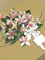 Ramo palma de Cymbidium Cymbidium