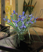 Arreglos Florales