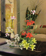 Arreglos Florales
