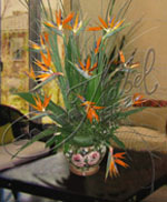 Arreglos Florales