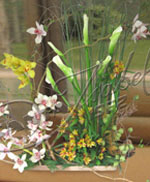 Arreglos Florales