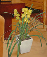 Lista para su floración, presentada en espiga doble, de color amarillo. Exhibida en base piramidal de piedra París. Orquídeas