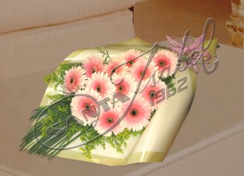 Gerberas