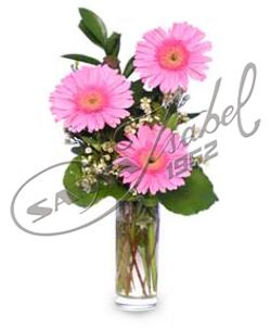 Gerberas en florero