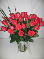 Rosas Rosas