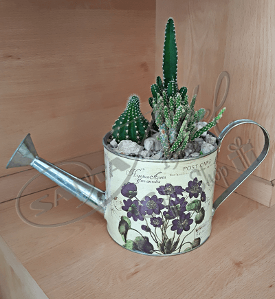 Regadera de Cactus