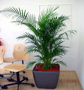 Oficinas