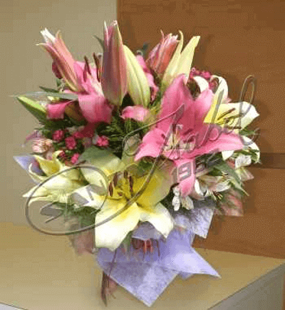 Lilium perfumados