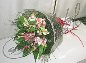 Alstroemerias