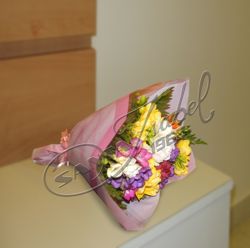 FRESIAS1
